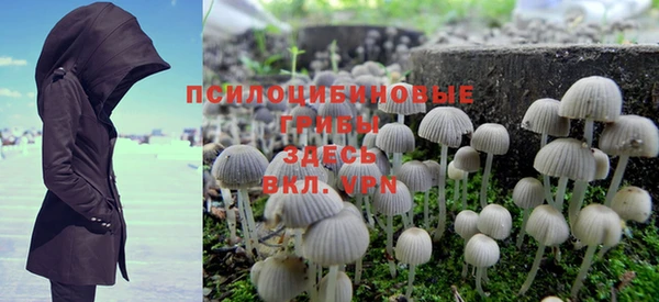 таблы Медногорск