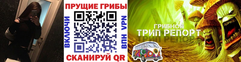 дарнет шоп  Эртиль  Псилоцибиновые грибы ЛСД 